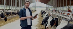 Farm access control systems for farms across Ireland